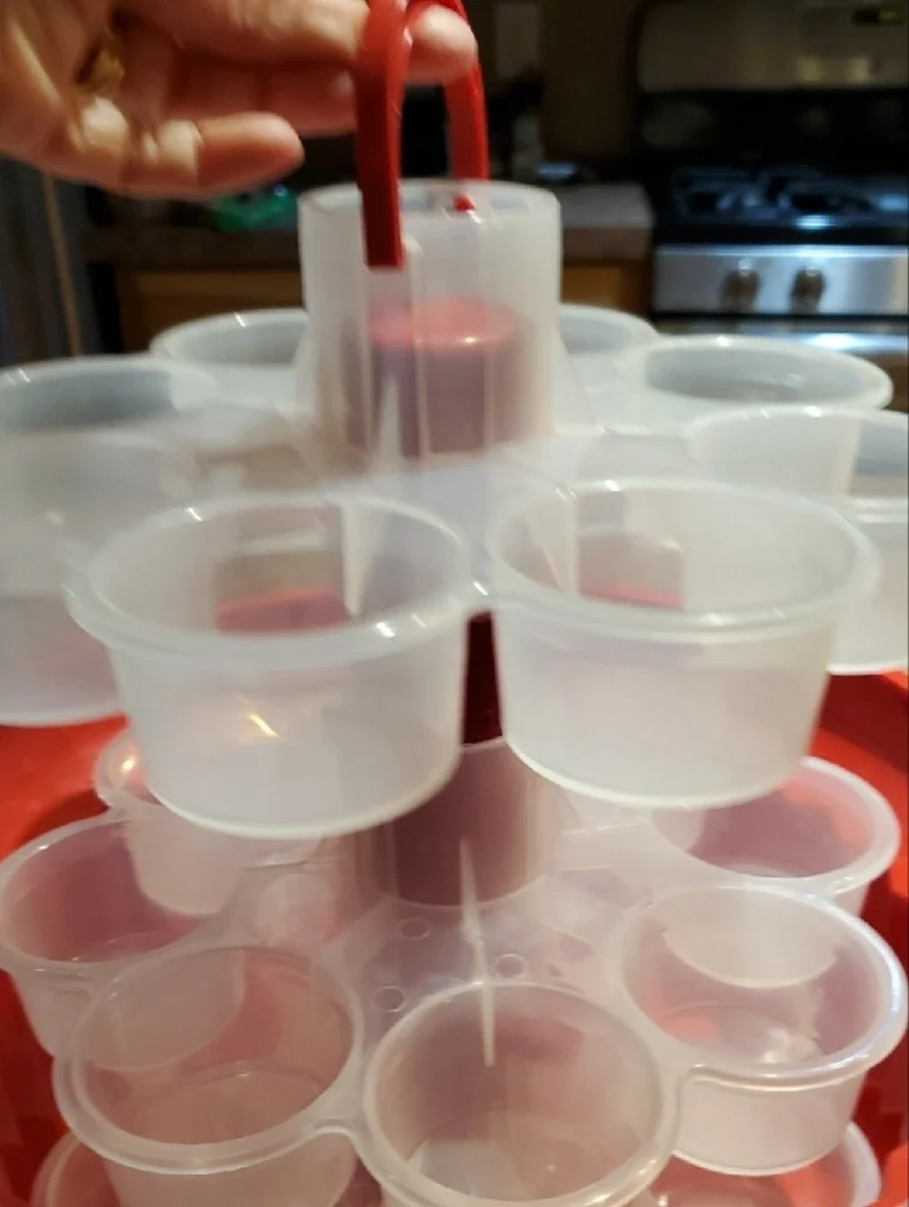 Cupcake Carrier